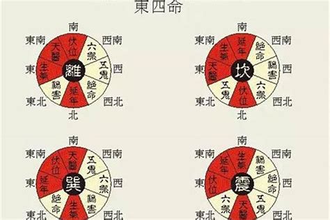 東四命對照表|东四命西四命速查表 命卦对照表